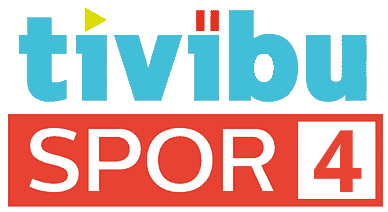 Tivibu Logo